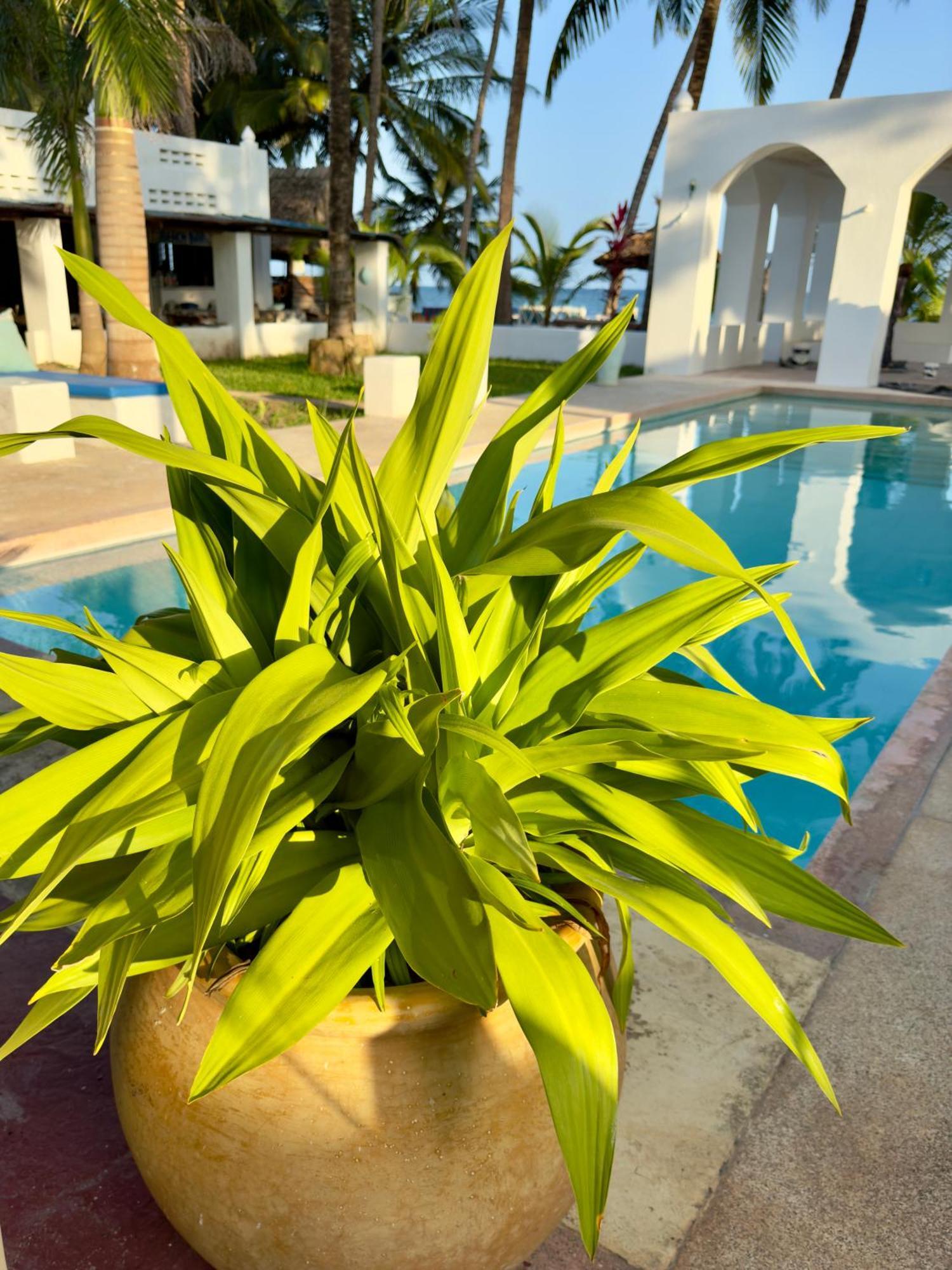 Sawa Sawa Beach House Msambweni Exterior foto