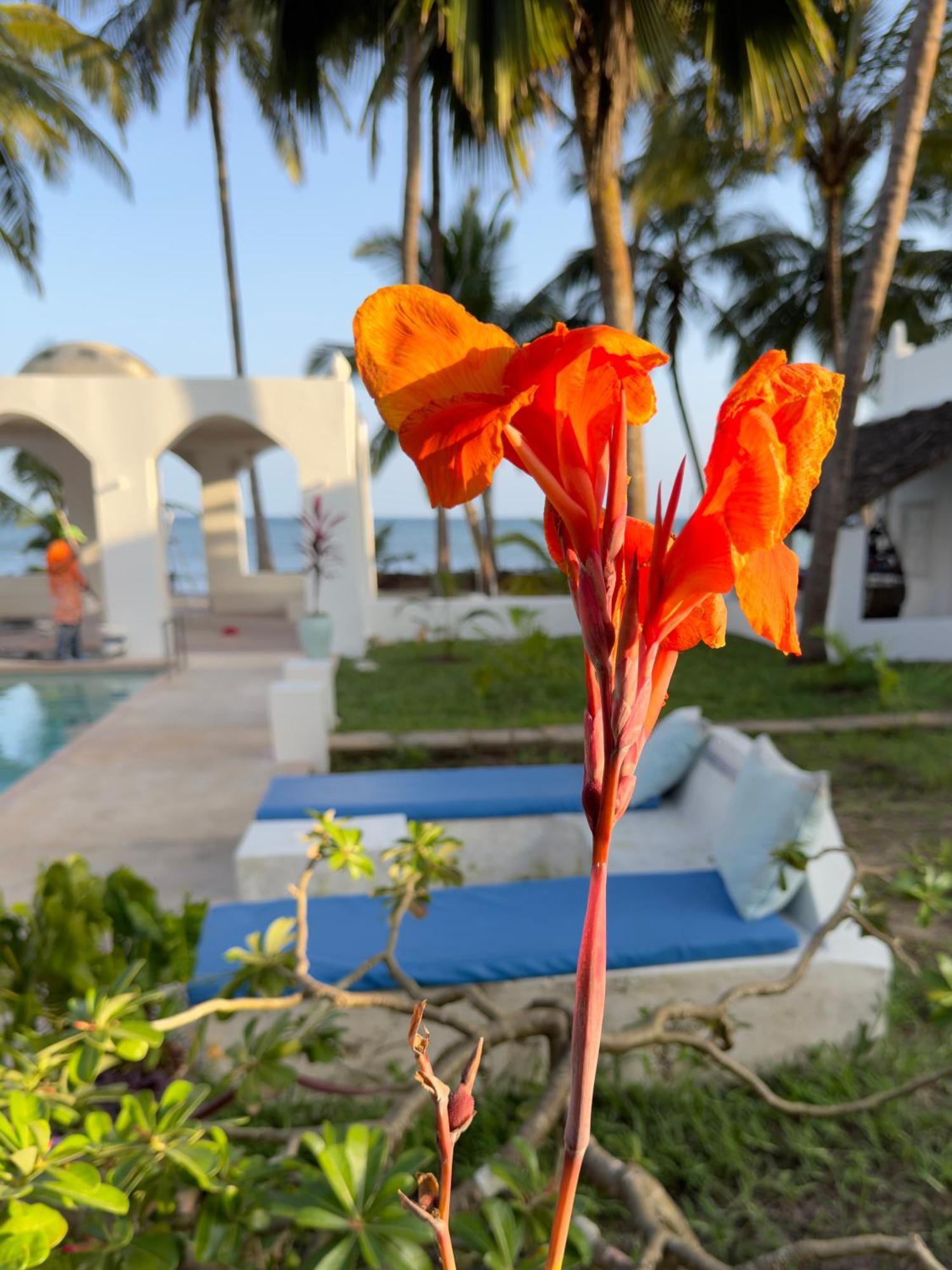 Sawa Sawa Beach House Msambweni Exterior foto